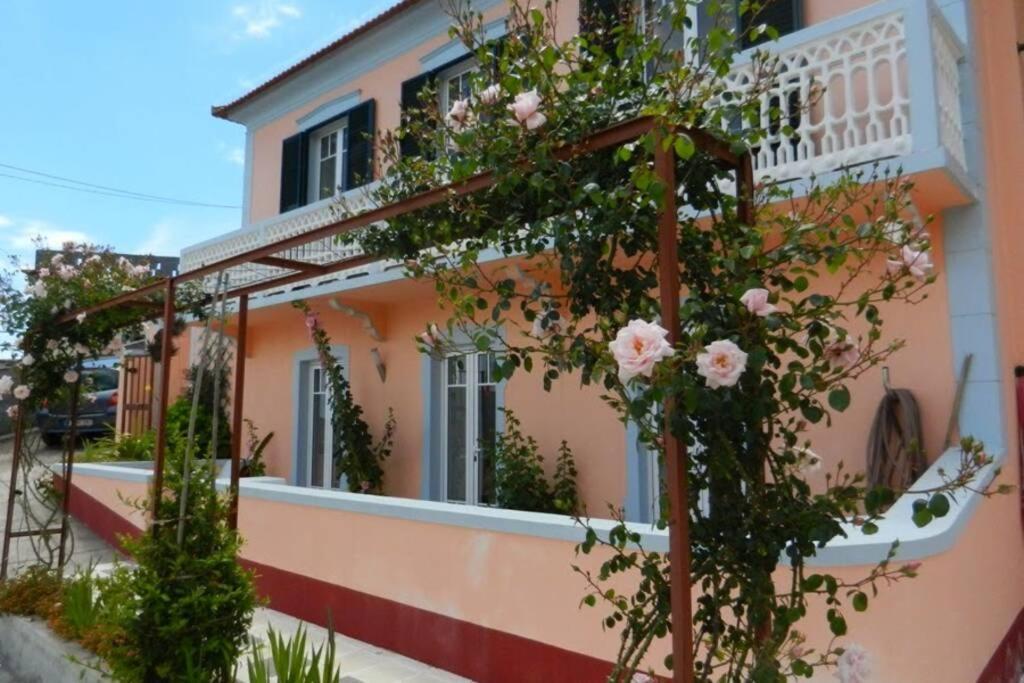 Raposeira De Sao Joao, The Feeling Of Peace, Space And Quiet, Whole Villa Is Yours ファハ・ダ・オヴェルハ エクステリア 写真