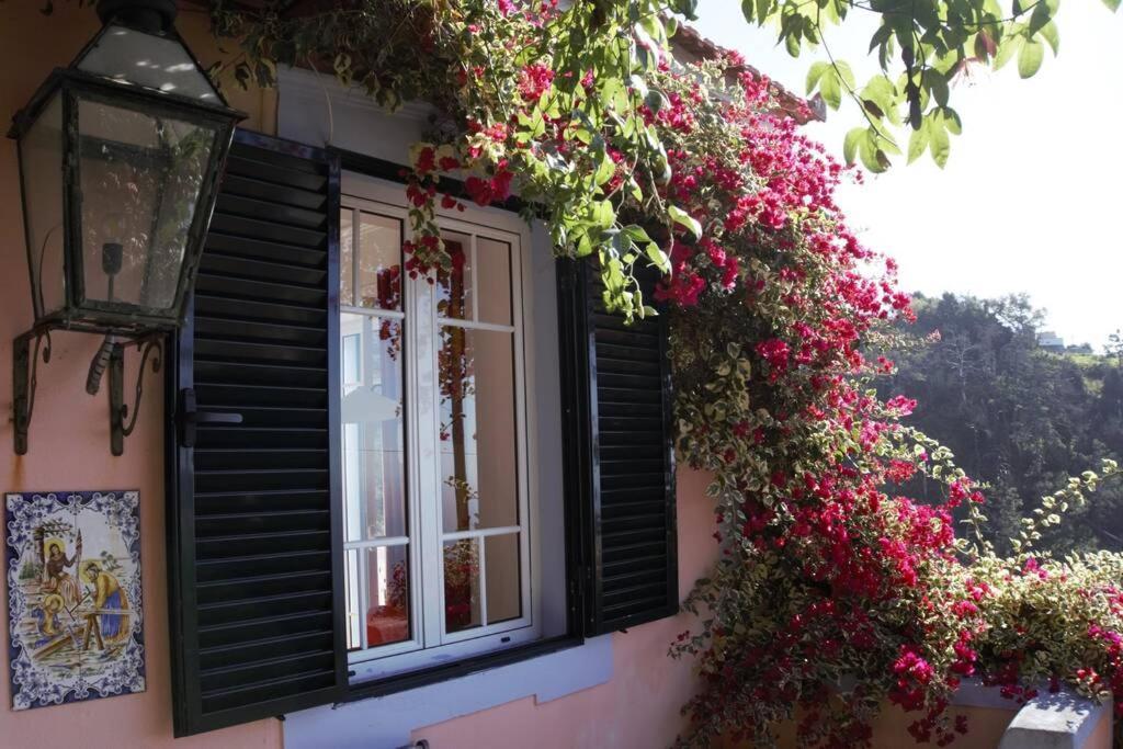 Raposeira De Sao Joao, The Feeling Of Peace, Space And Quiet, Whole Villa Is Yours ファハ・ダ・オヴェルハ エクステリア 写真