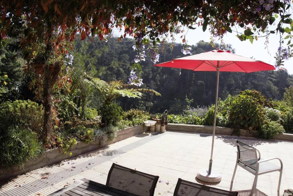 Raposeira De Sao Joao, The Feeling Of Peace, Space And Quiet, Whole Villa Is Yours ファハ・ダ・オヴェルハ エクステリア 写真
