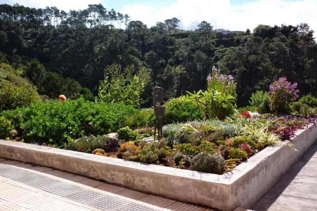 Raposeira De Sao Joao, The Feeling Of Peace, Space And Quiet, Whole Villa Is Yours ファハ・ダ・オヴェルハ エクステリア 写真